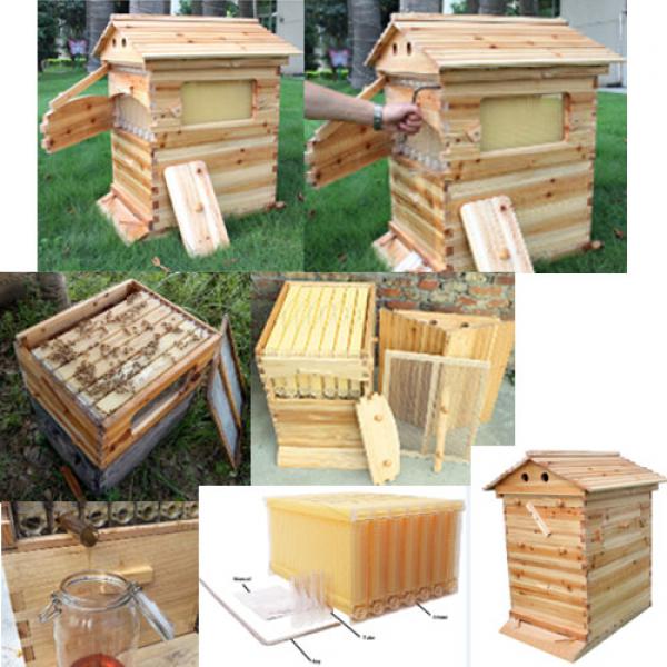 Automatic Honey Bees Hive Bee House