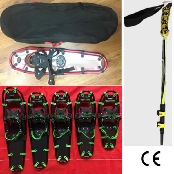 Snowshoes including carrying bag and sticks