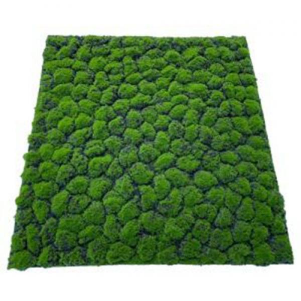 Artificail Moss Carpet