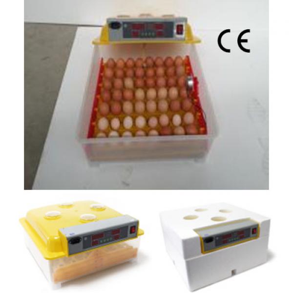 Egg Incubator (56pcs)
